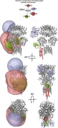 Fig. 5