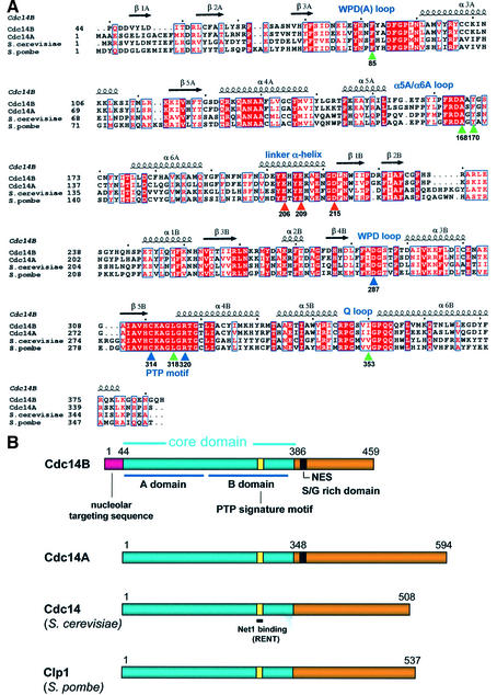 graphic file with name cdg348f1.jpg