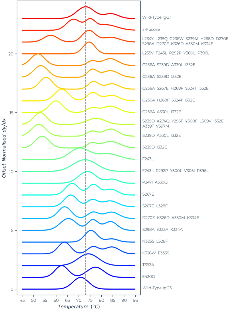 Plots showing the degree of unfolding as a function of temperature. Most of the variants have lower melting points than wild-type IgG1.