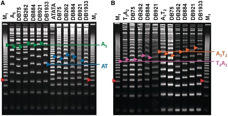 Figure 4.