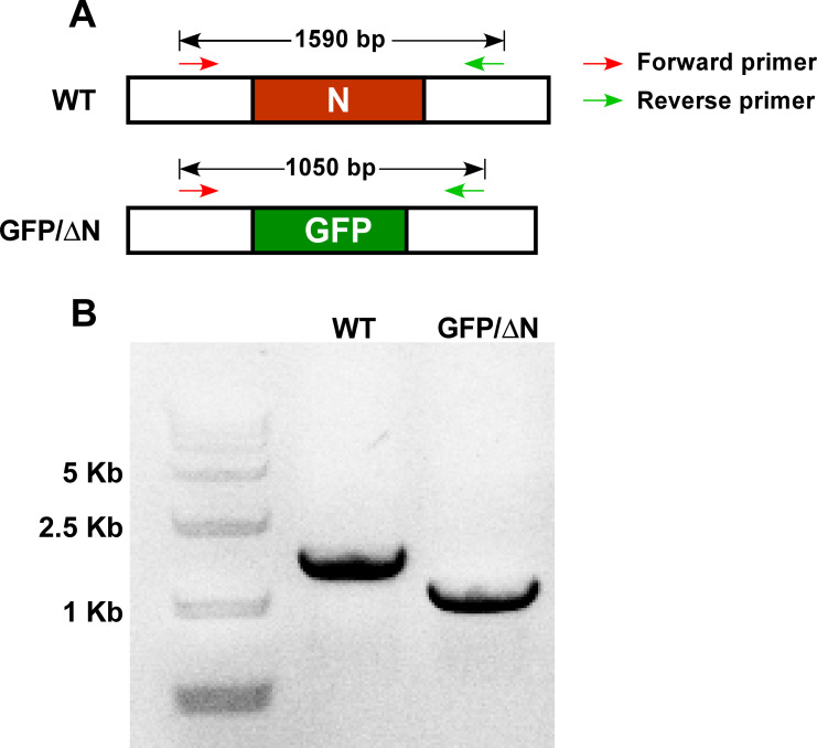 Figure 4.