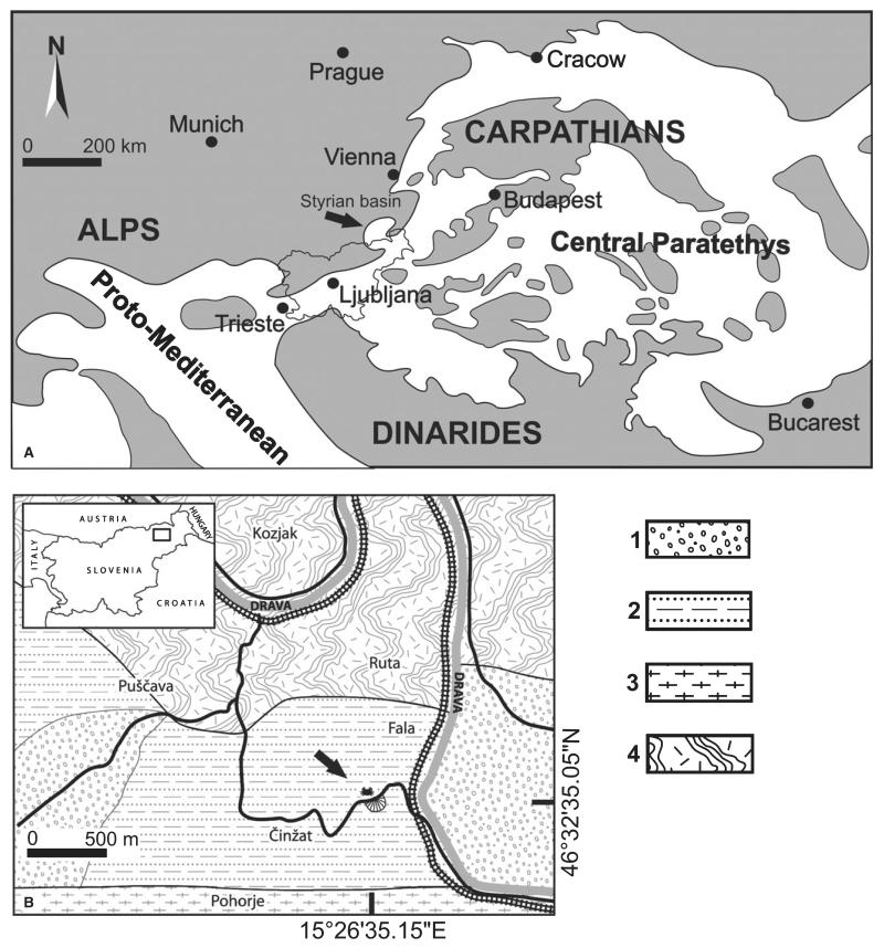 FIG. 1