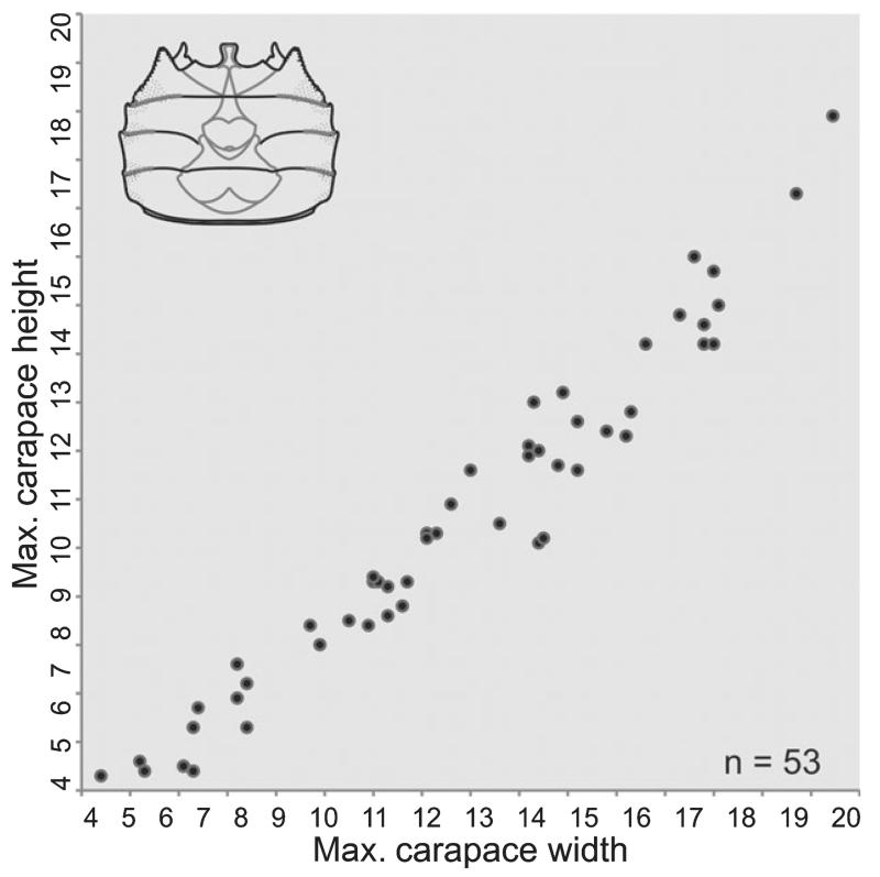 FIG. 21