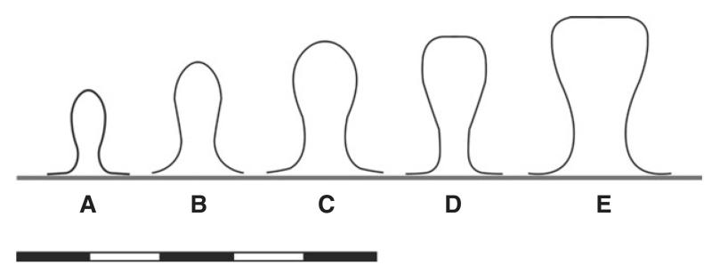 FIG. 20