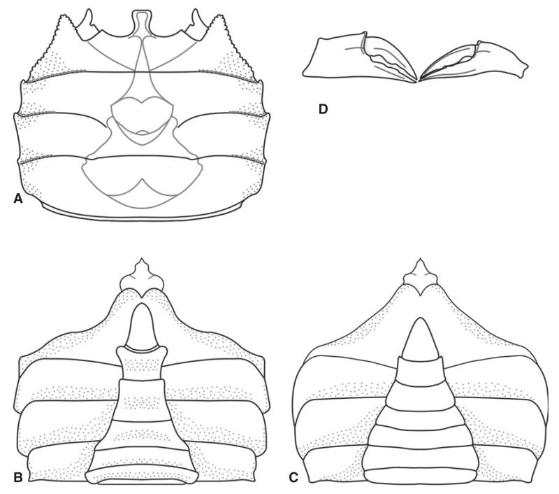 FIG. 19