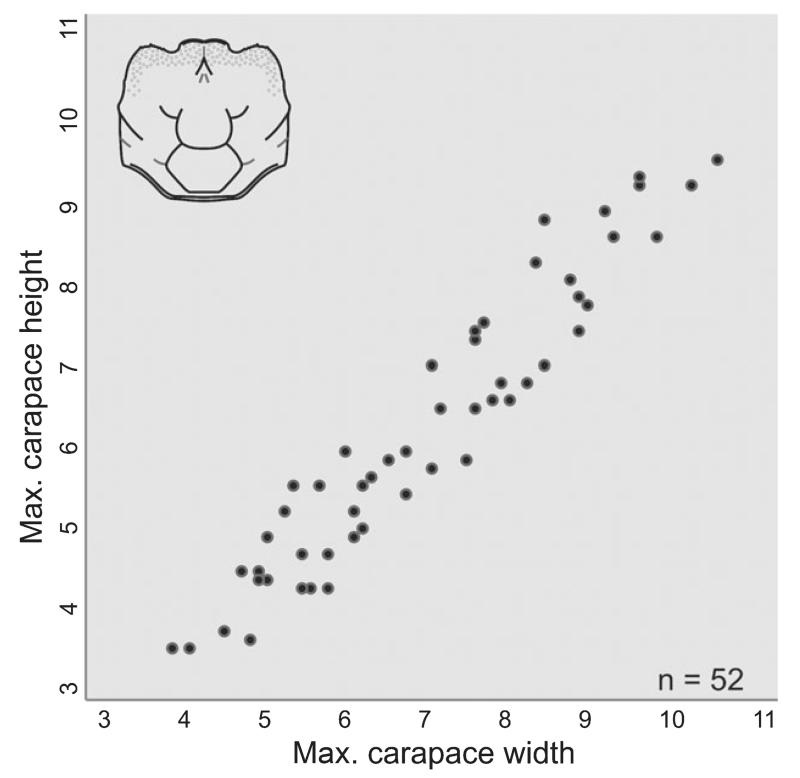 FIG. 12