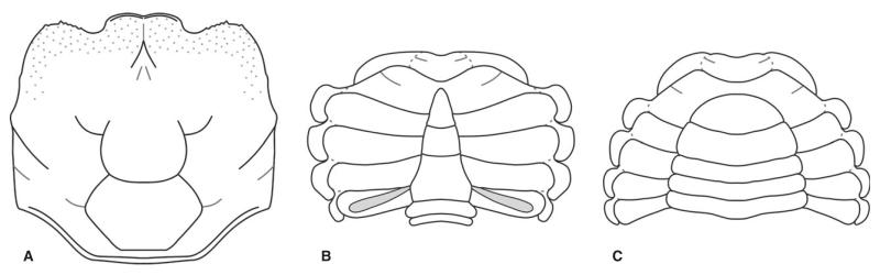 FIG. 11