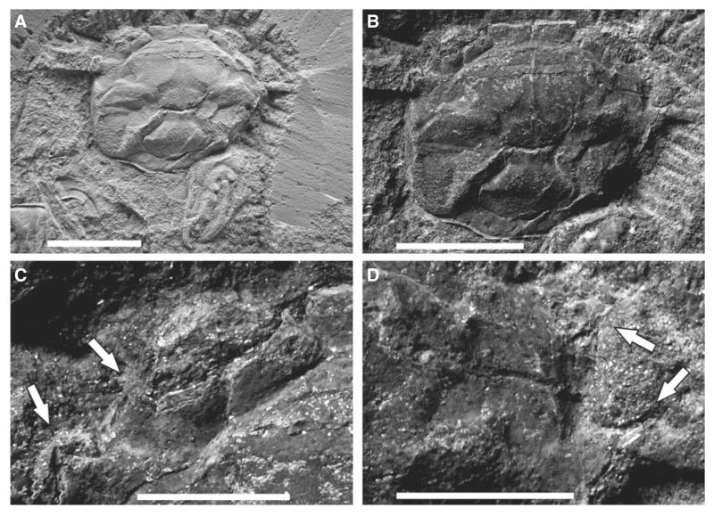 FIG. 15