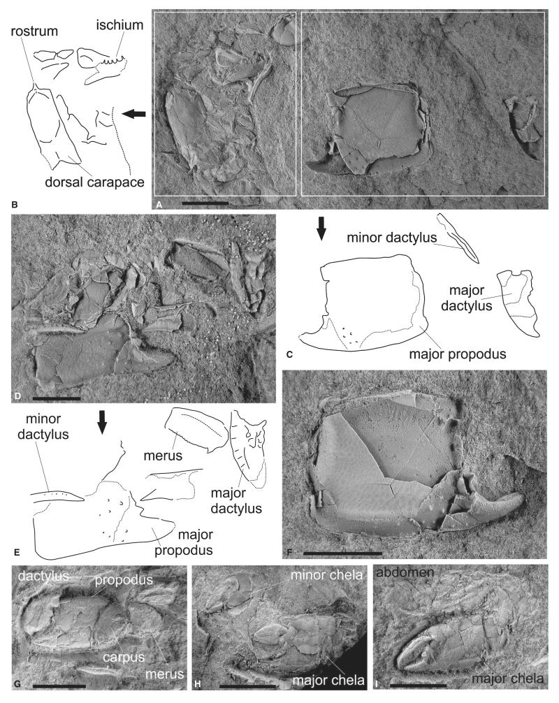 FIG. 6