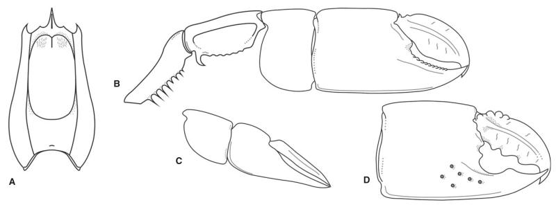 FIG. 7