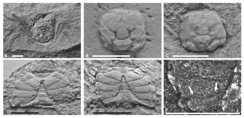 FIG. 10