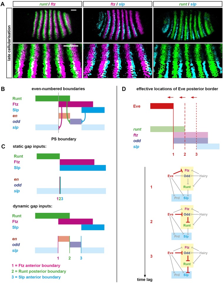 Fig 6