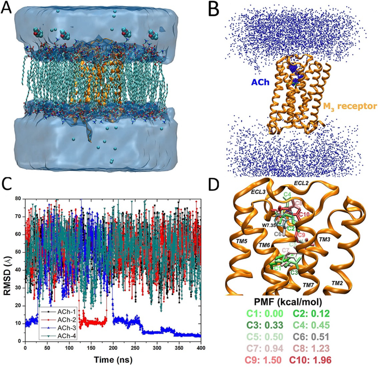 Figure 4: