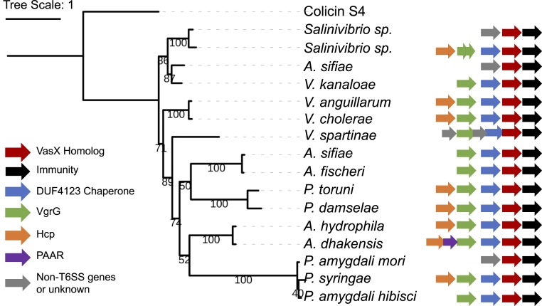 Fig. 4.