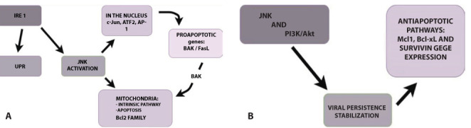 Figure 1.