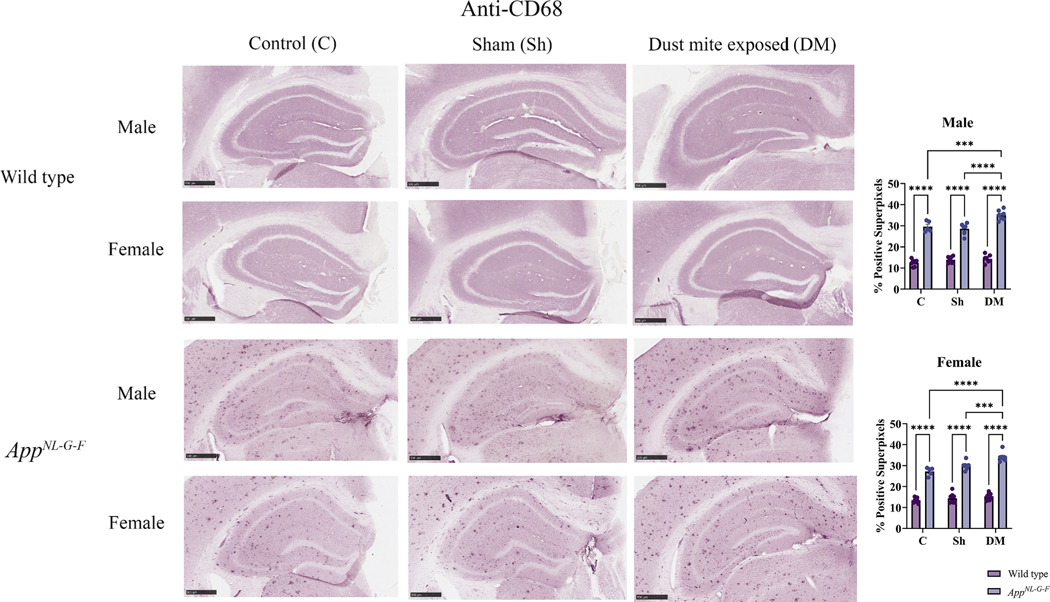 Fig. 10.