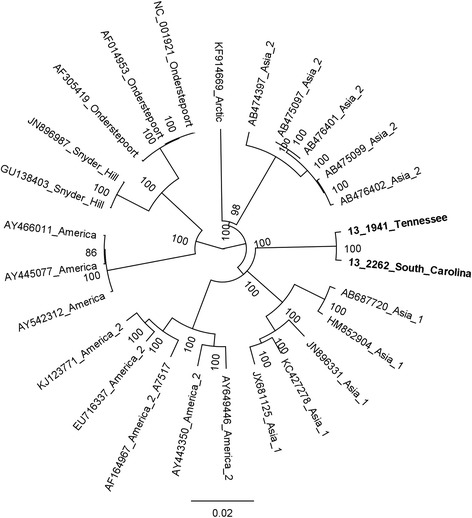 Fig. 2