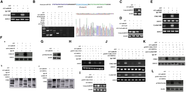 Figure 6