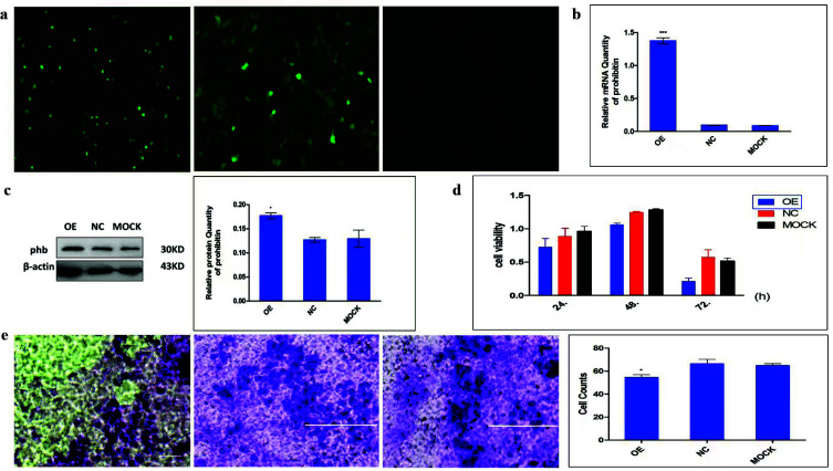 Fig. (4)