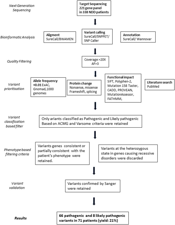 FIGURE 1