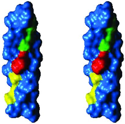 Fig 3.