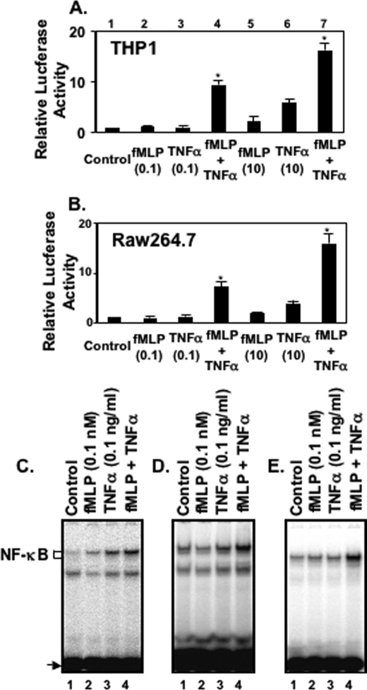 FIGURE 1.