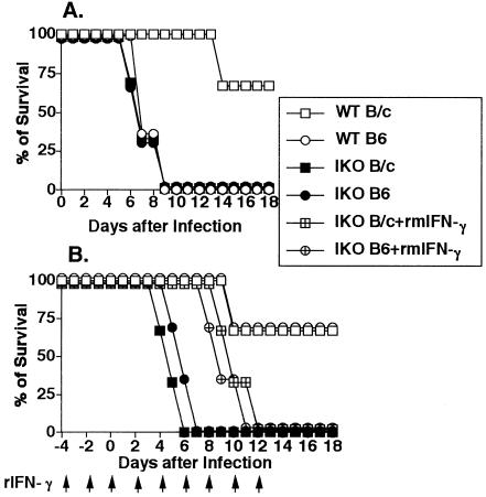 Fig 1.