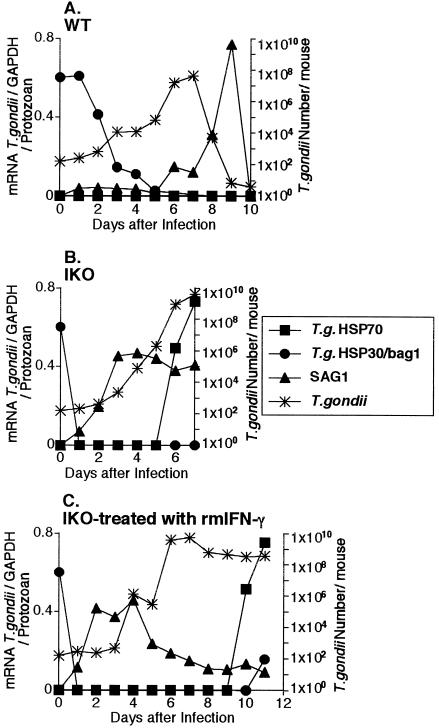 Fig 2.