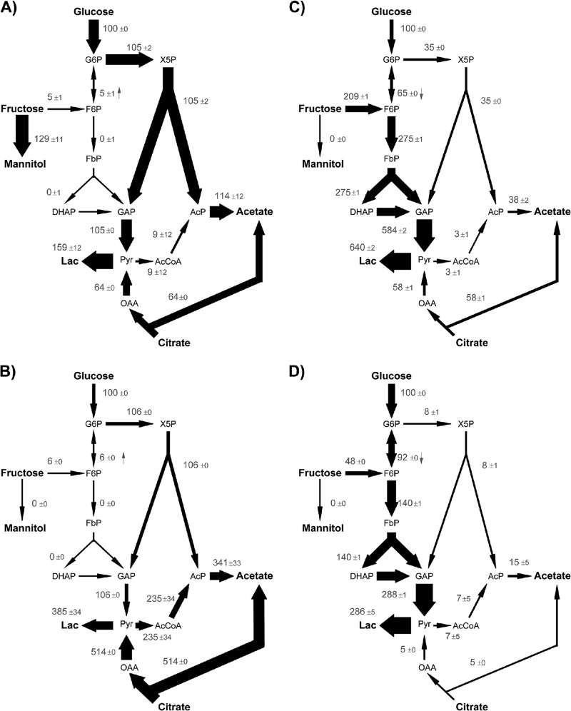 Fig 5