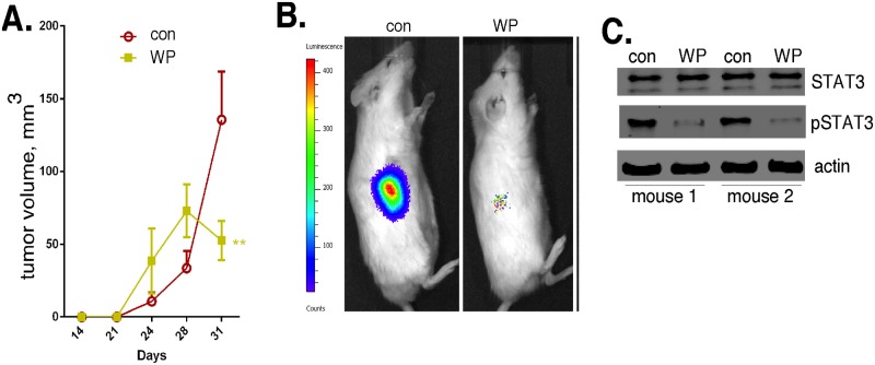 Fig 9