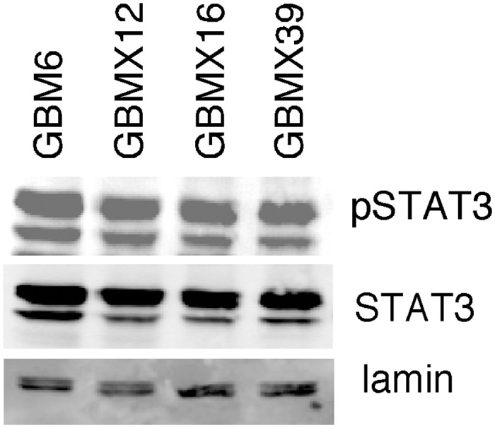 Fig 10