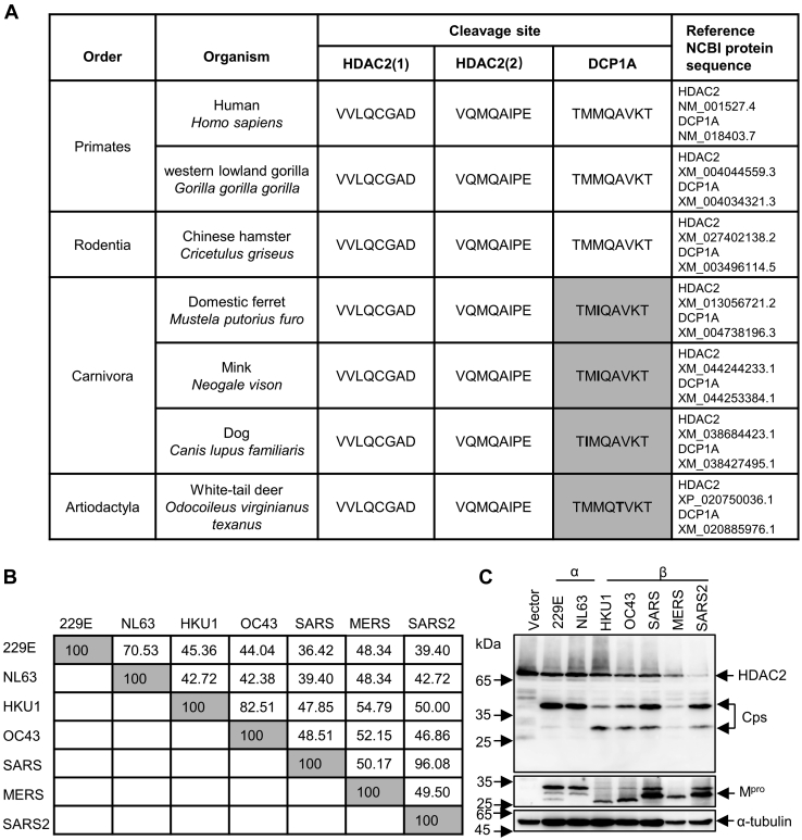 Figure 6