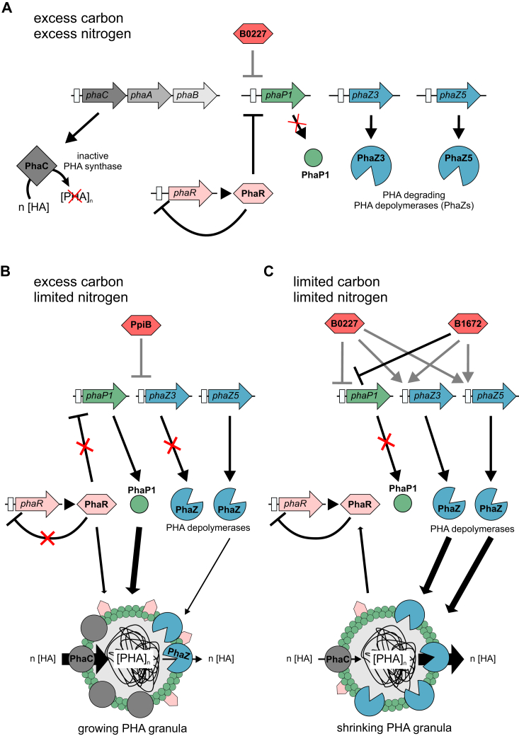 Figure 5