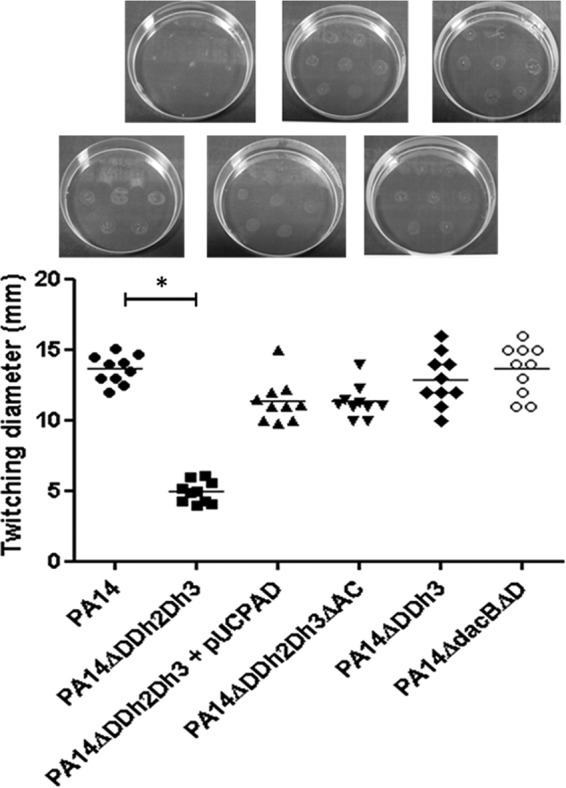 FIG 2 