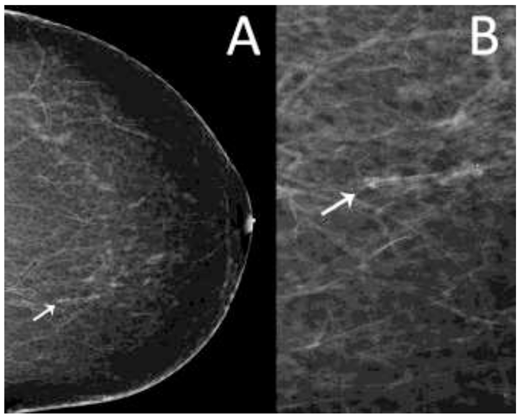 Figure 3: