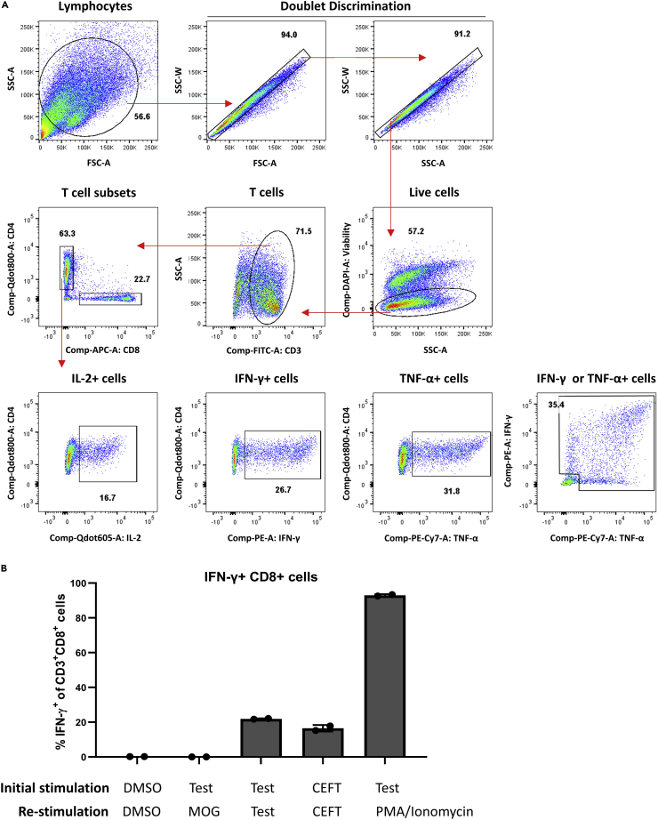 Figure 3