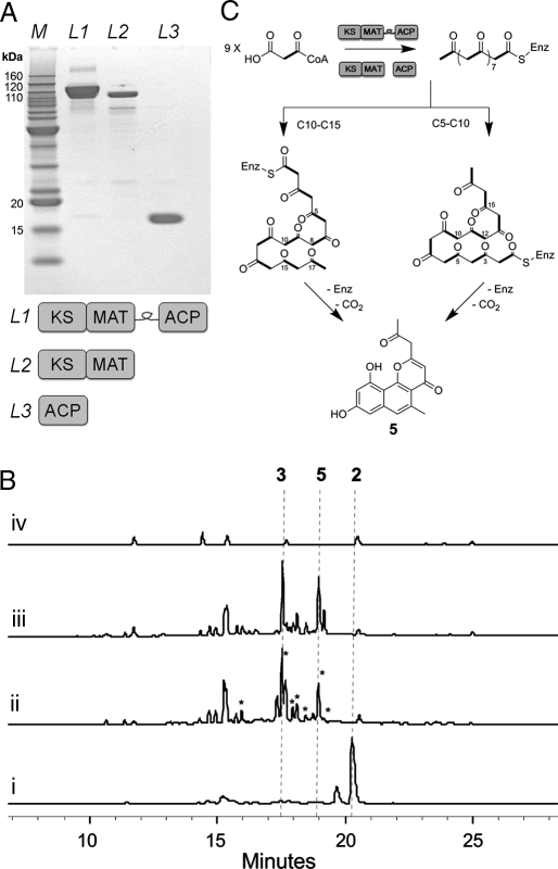 Fig. 2.