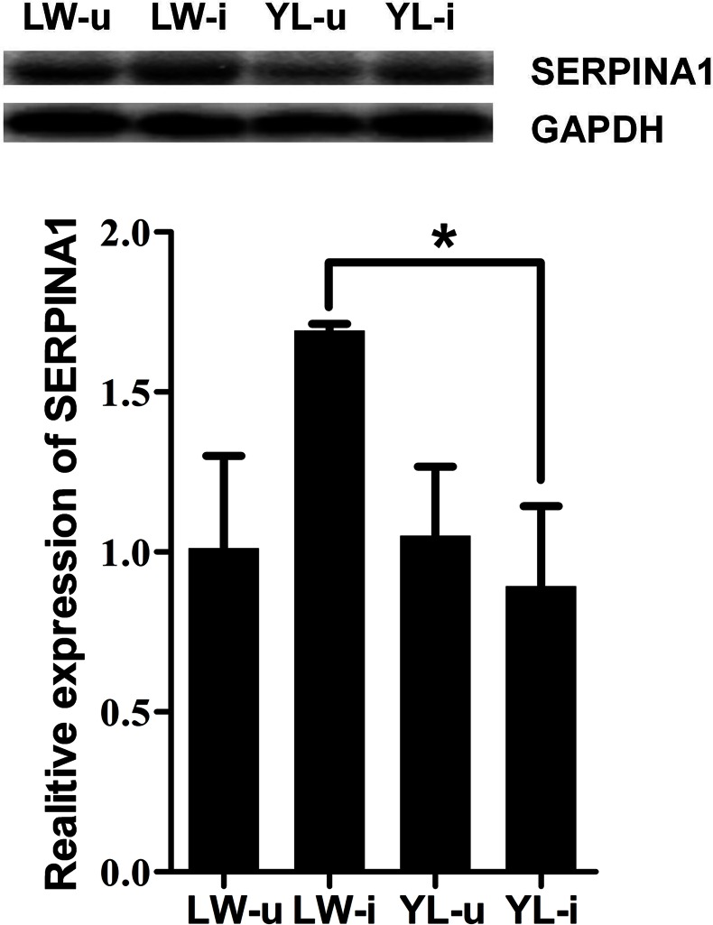 Fig 8