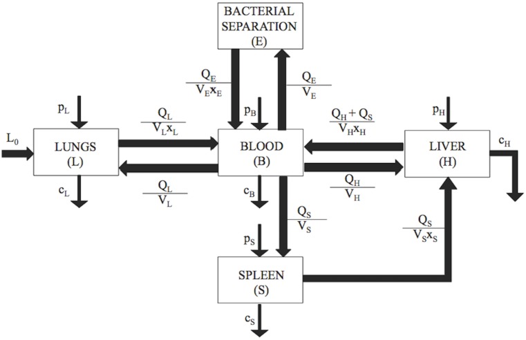 Fig 8