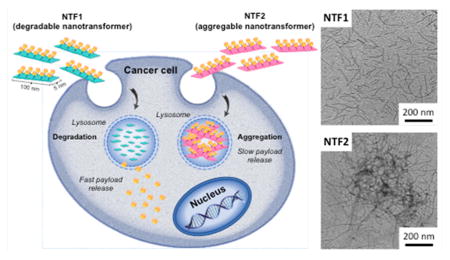 graphic file with name nihms902585u1.jpg