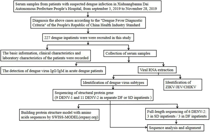 FIGURE 2