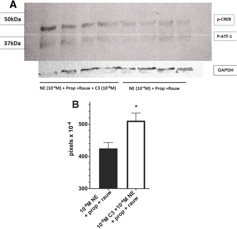 Fig. 7