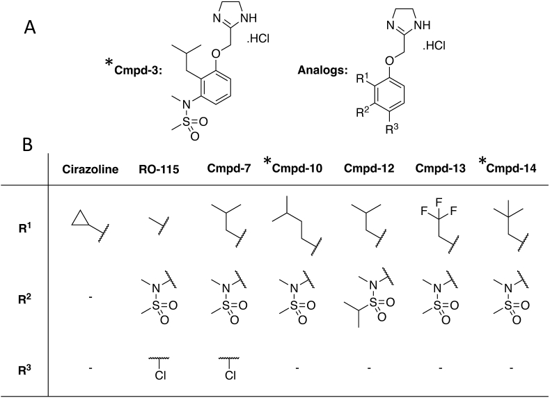 Fig. 1