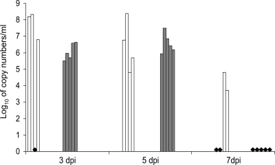 FIG. 5.