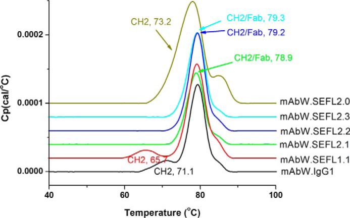 FIGURE 7.