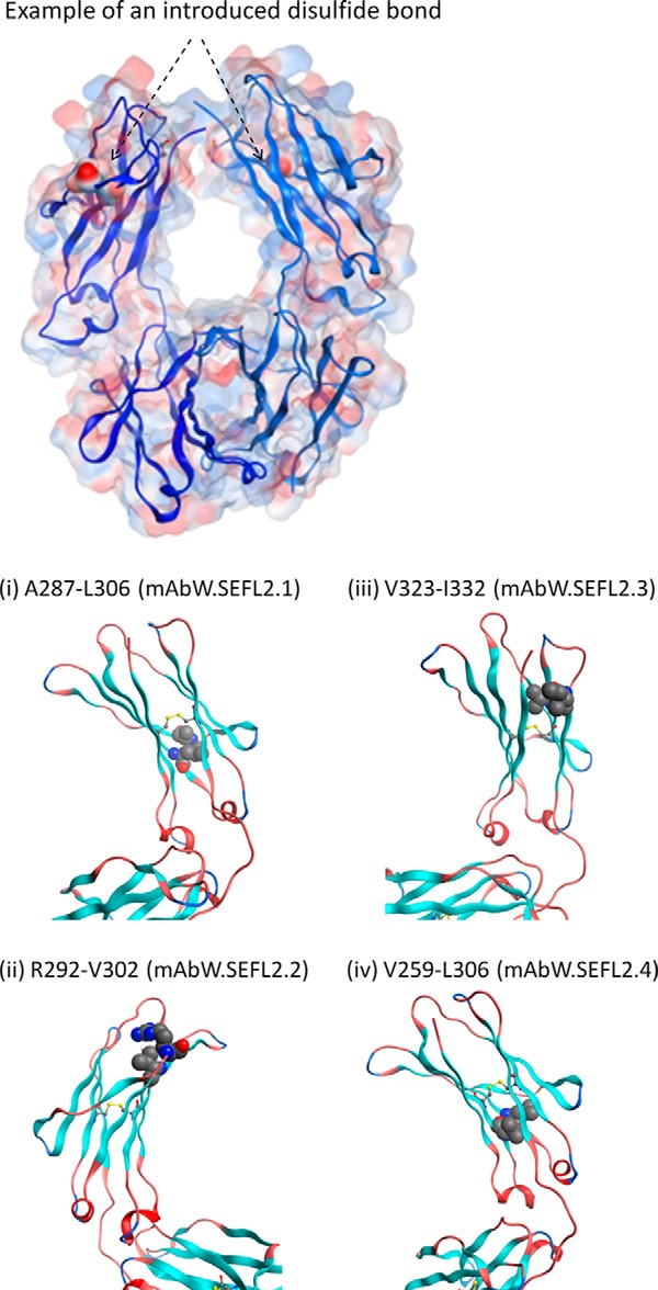 FIGURE 5.