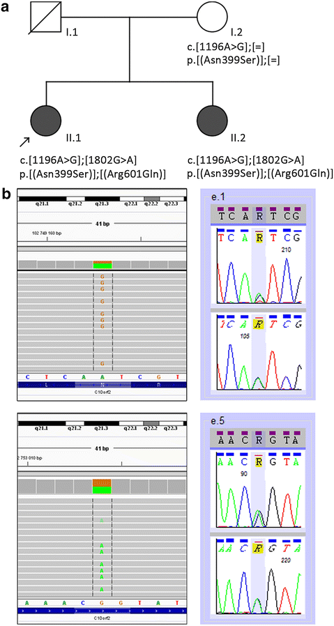 Fig. 3