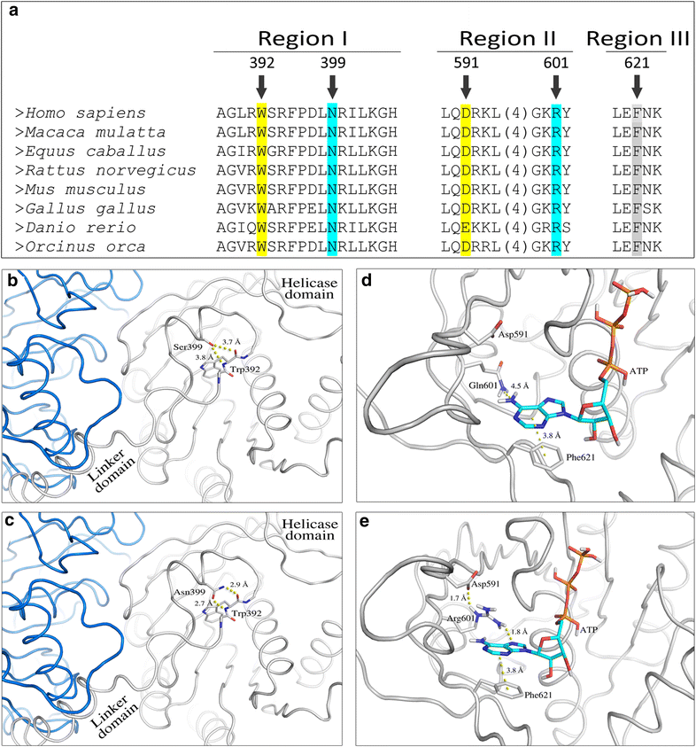 Fig. 4