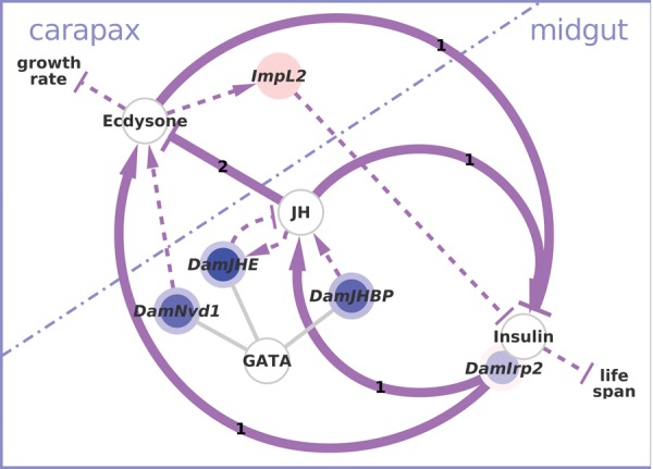 Fig. 6.—