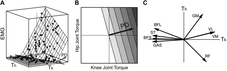 Fig. 1.